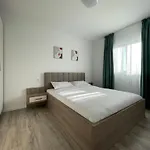 Comfort & Luxury Pnmresidence * Timişoara