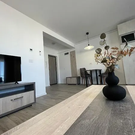 Comfort & Luxury Pnmresidence * 蒂米什瓦拉