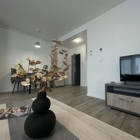 公寓 Comfort & Luxury Pnmresidence 蒂米什瓦拉