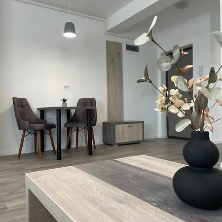Comfort & Luxury Pnmresidence * Timisoara