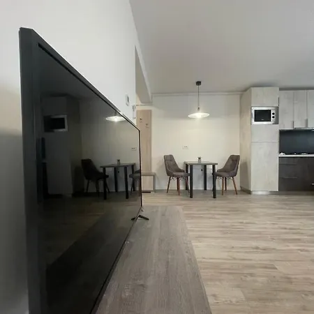 Comfort & Luxury Pnmresidence * 蒂米什瓦拉