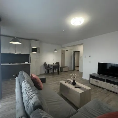 Comfort & Luxury Pnmresidence * 蒂米什瓦拉