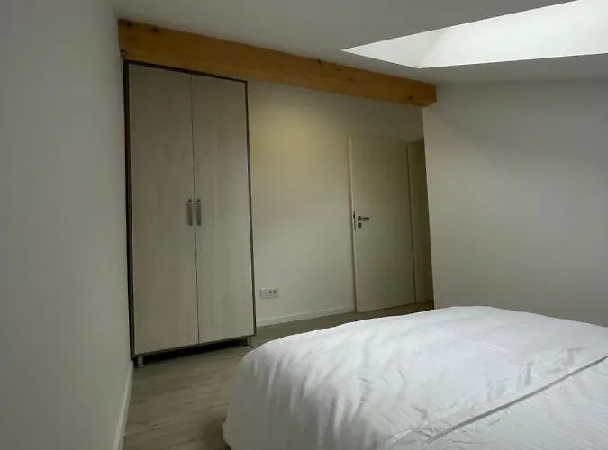 Comfort & Luxury Pnmresidence * ティミショアラ