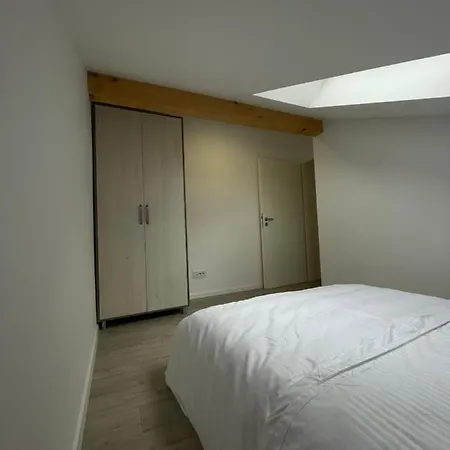 Comfort & Luxury Pnmresidence * 티미쇼아라