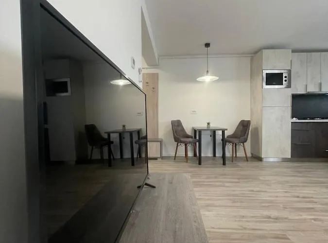 Comfort & Luxury Pnmresidence * Timişoara