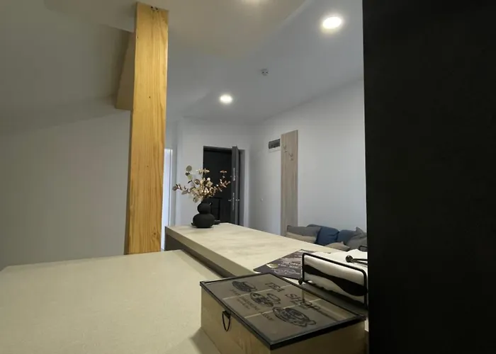 Comfort & Luxury Pnmresidence Timişoara